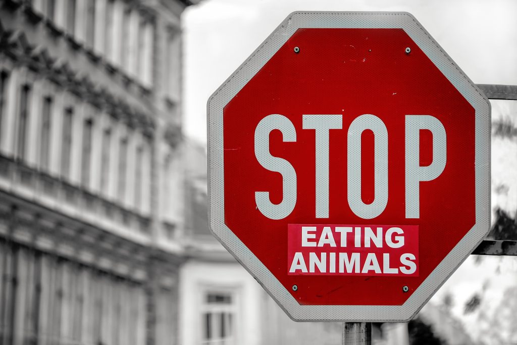 Stop Eating Animals Board - vegetarian and vegan recipes - healthy and better living website