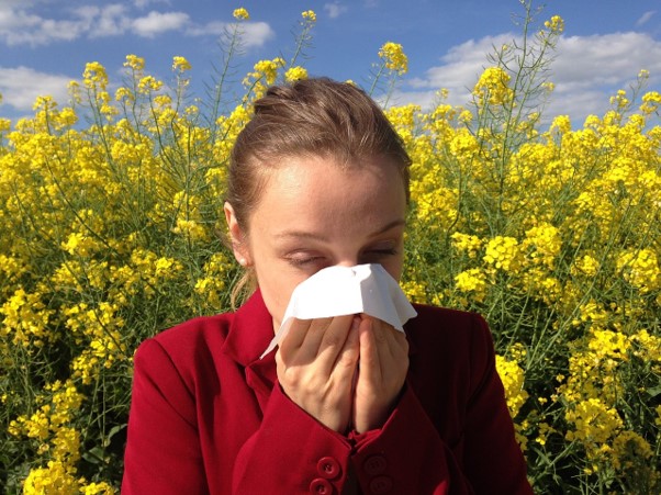 Common Allergies - A Girl Sneezing
