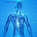 human skeleton featured image for article on healthy and better living for pain under right rib cage